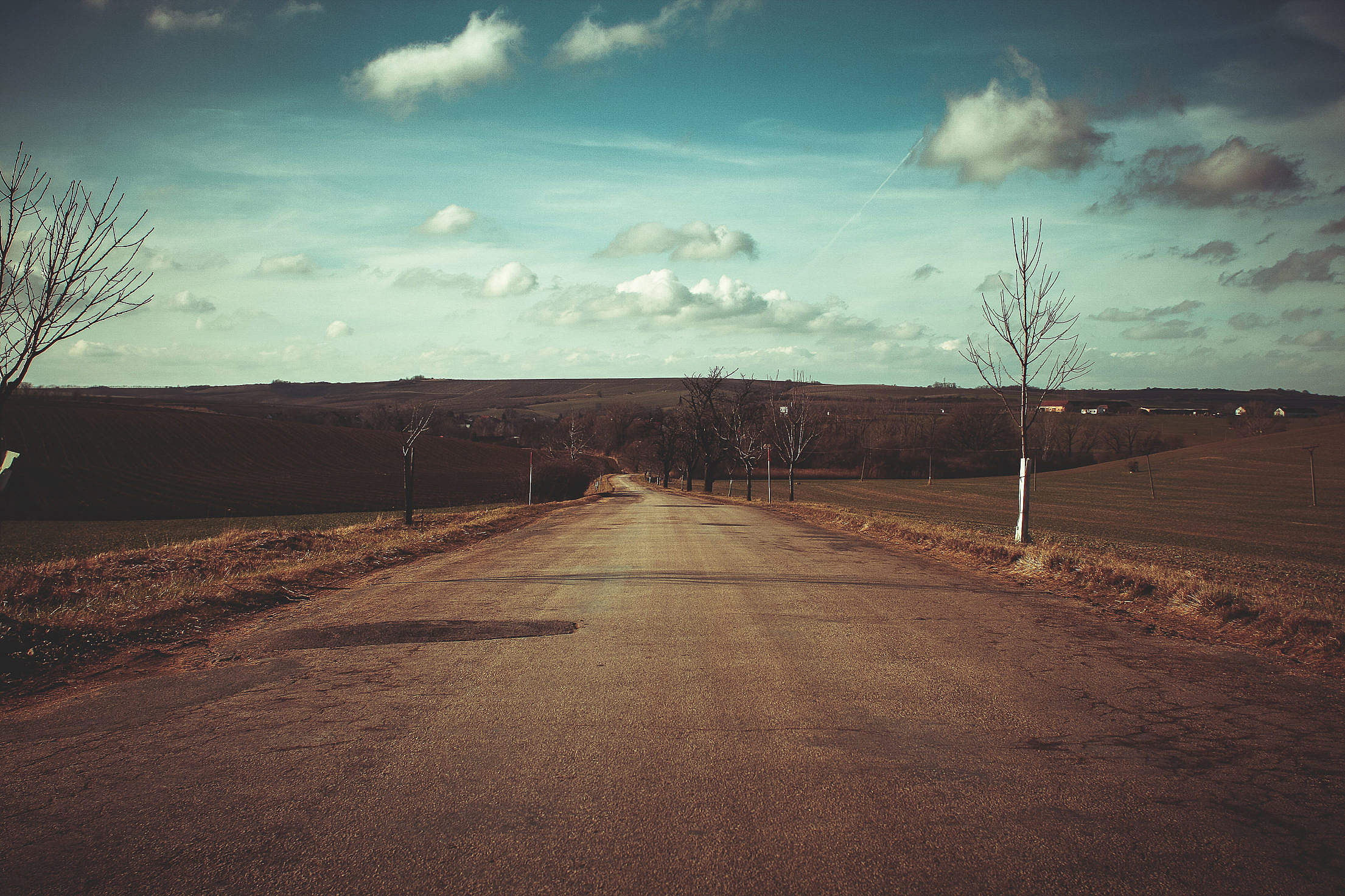 A Road After Winter Free Stock Photo