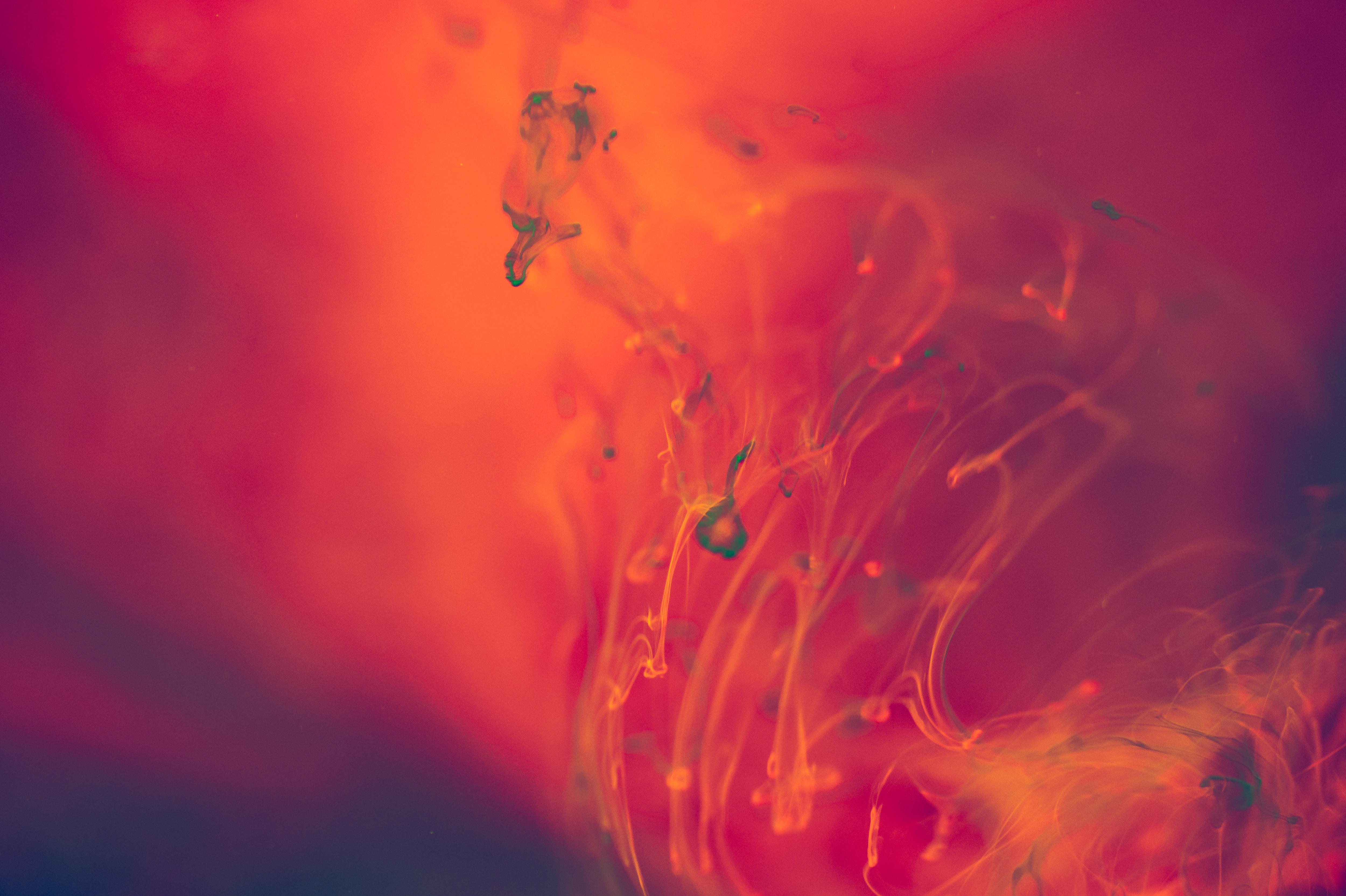 Abstract Red and Orange Liquid Background Free Stock Photo | picjumbo