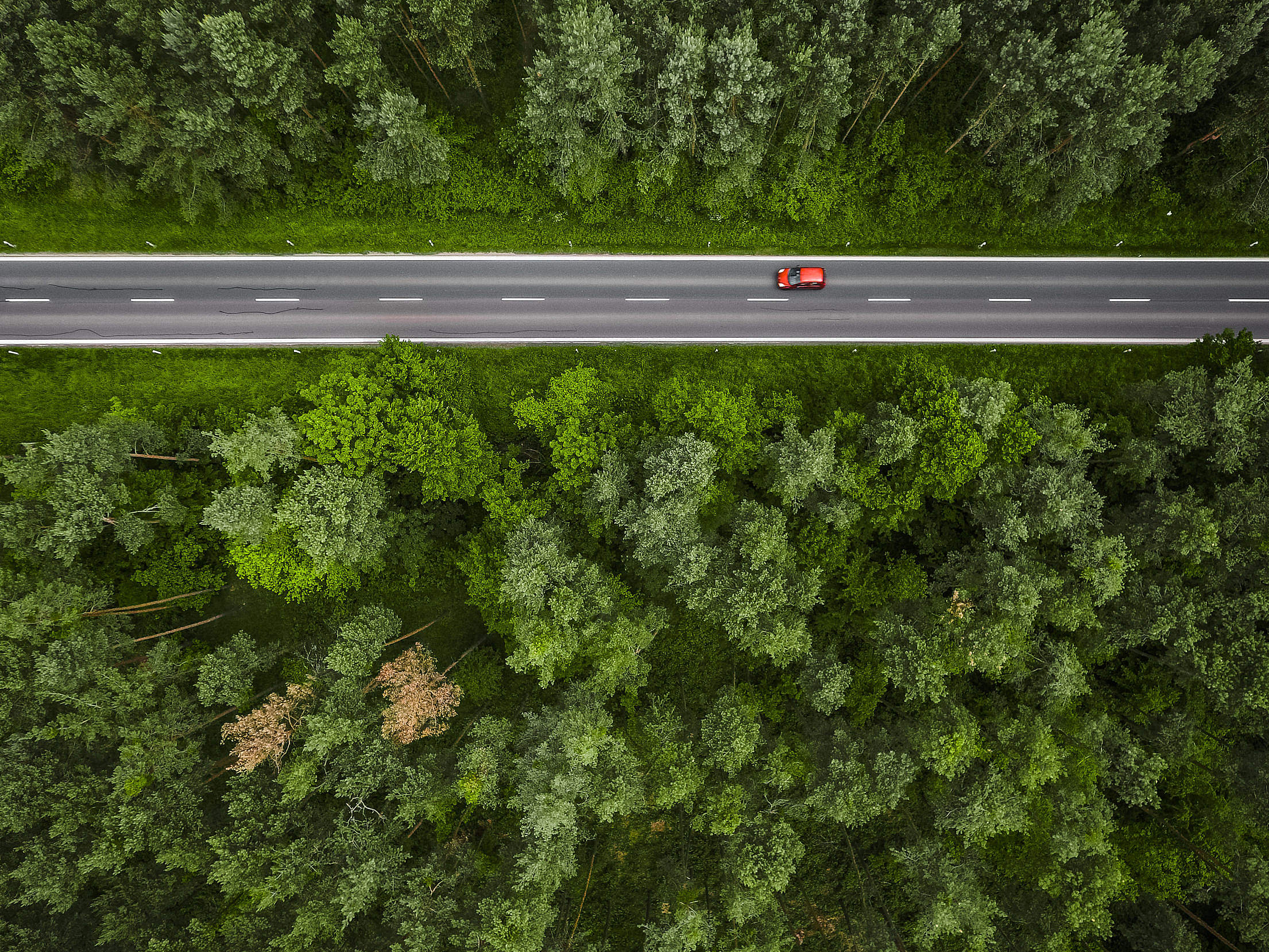 Aerial and Symmetric View of a Road in the Woods Free Stock Photo ...