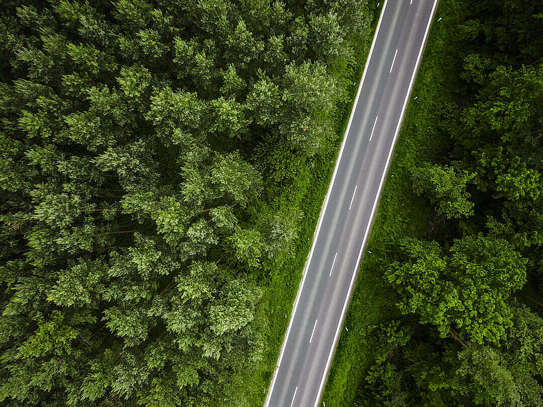 Download Aerial View of a Lonely Road in the Woods FREE Stock Photo