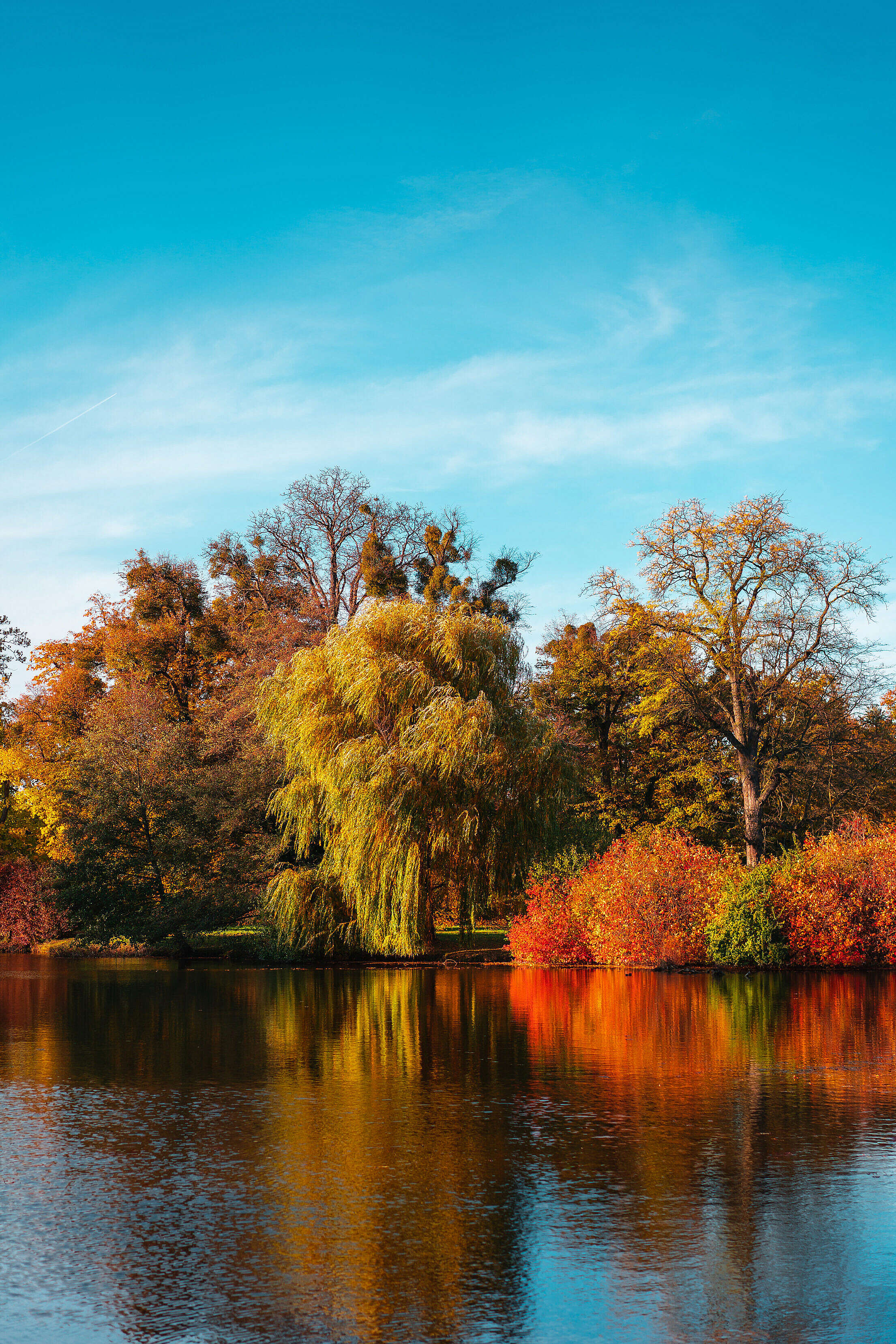Autumn Colorful Trees in Fall Colors over a Lake Free Stock Photo