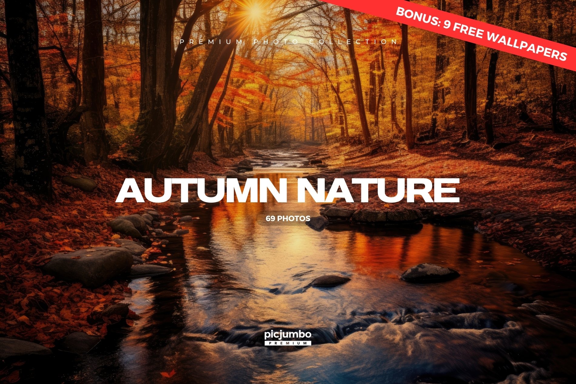 Autumn Nature Stock Photo Collection