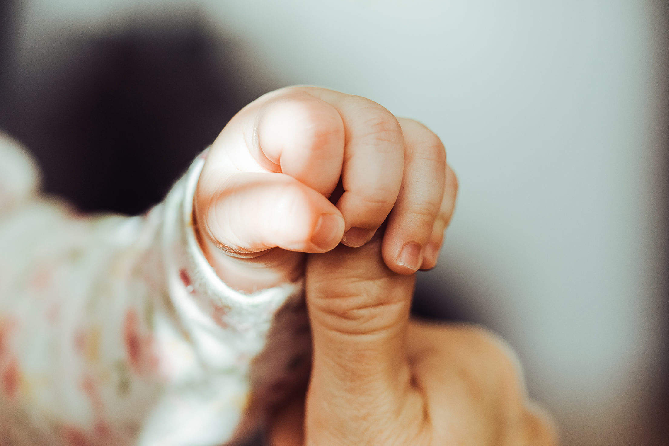 Baby Hand Holding Adult Finger Free Stock Photo