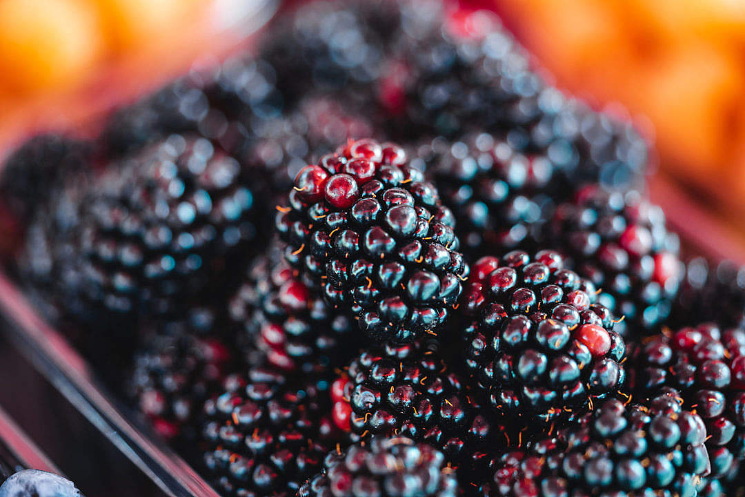 Basket of Blackberries at The Farmers Market