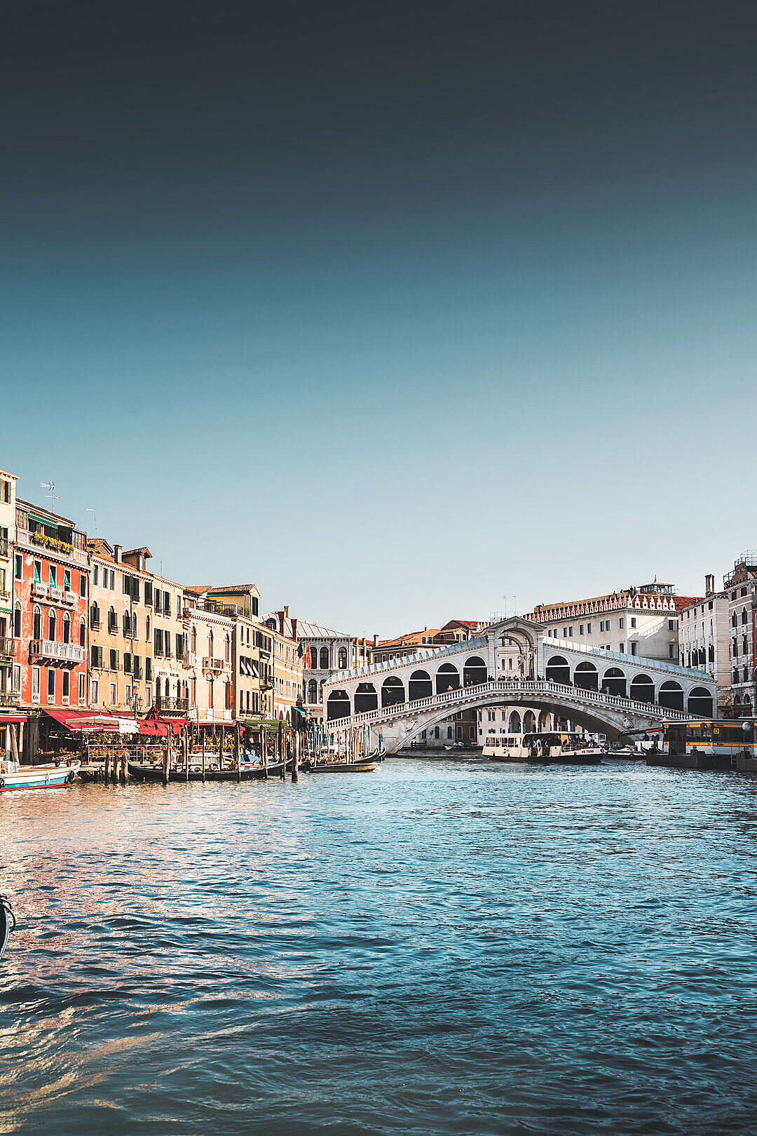 Beautiful and Famous Rialto Bridge in Venice, Italy
