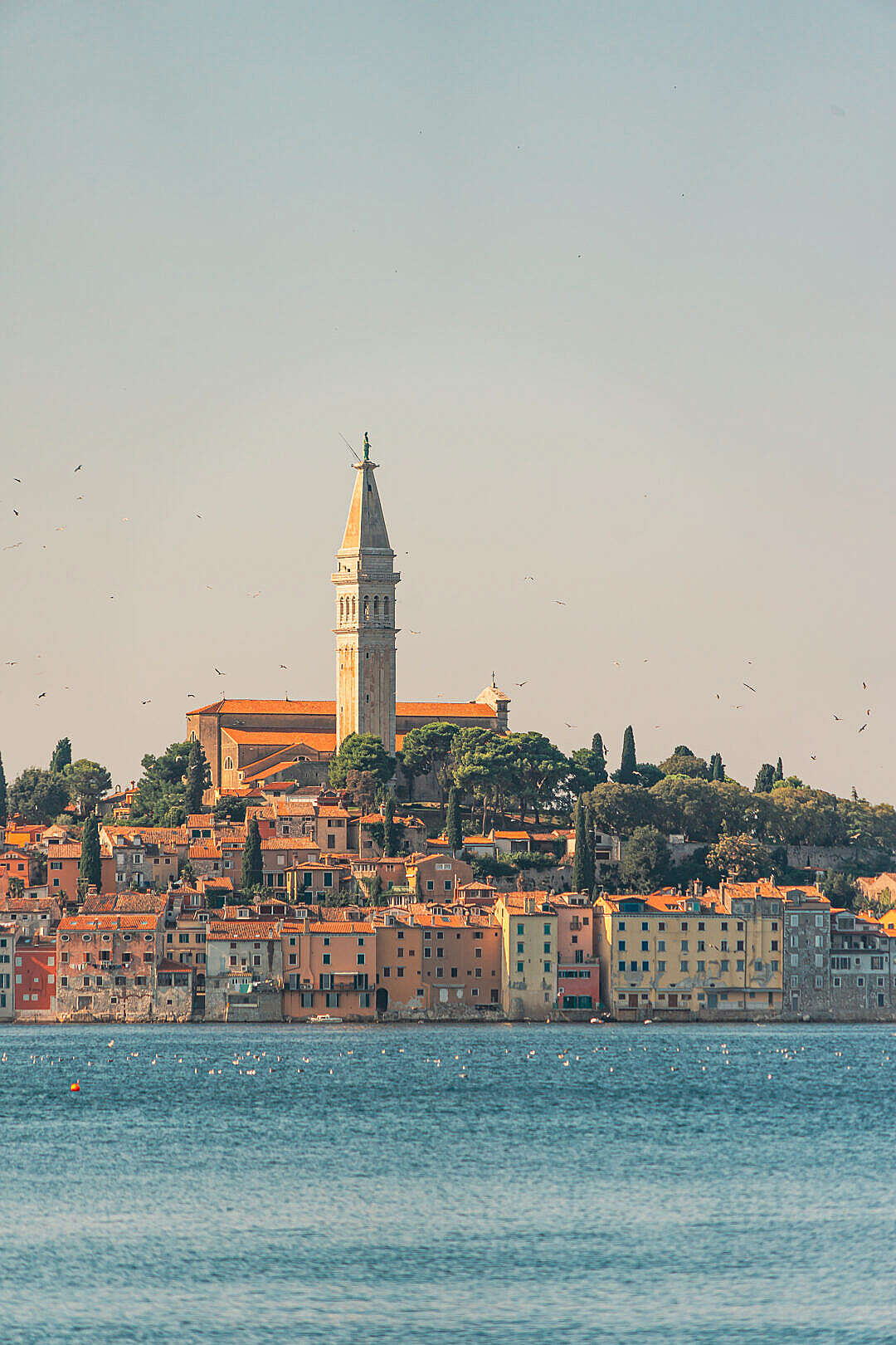 Beautiful Rovinj in Croatia