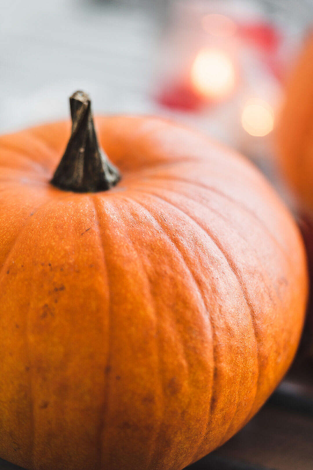 Download Big Halloween Pumpkin FREE Stock Photo
