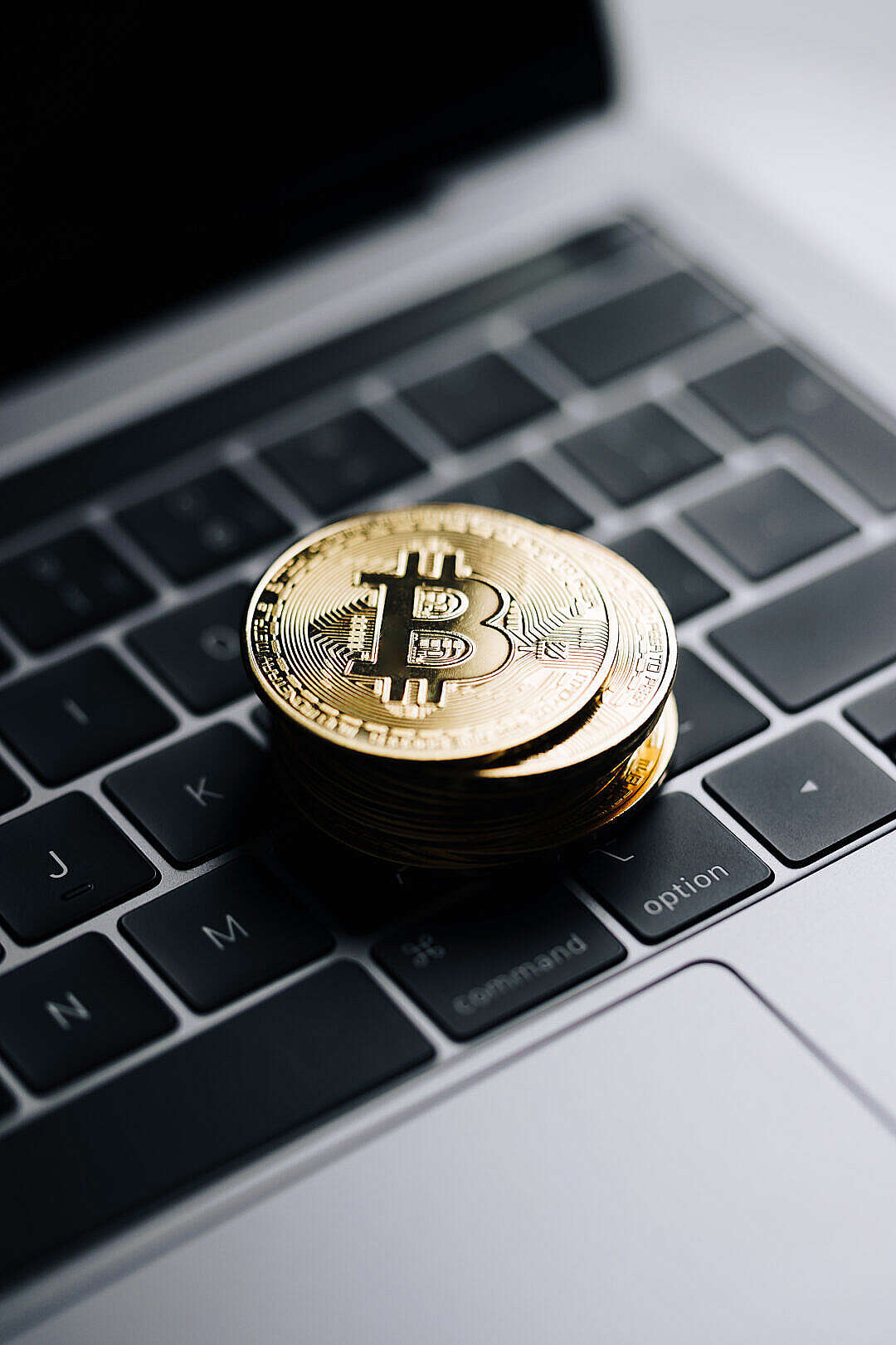 Download Bitcoin Vertical FREE Stock Photo