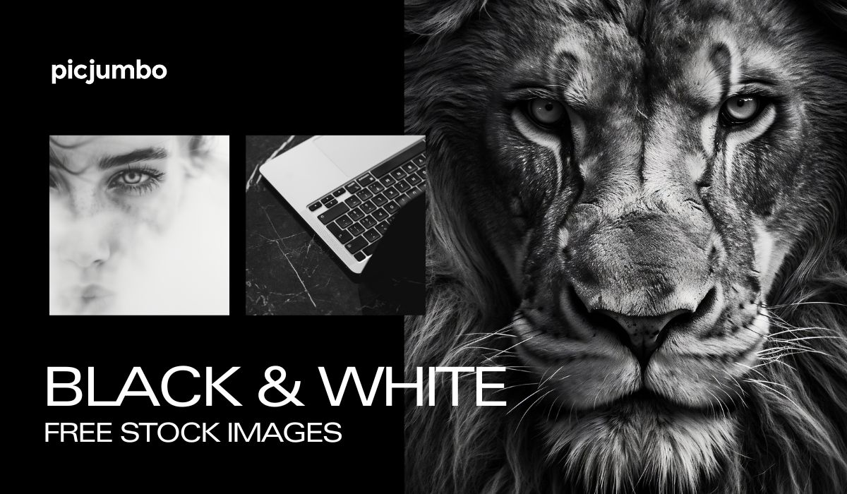 140+ Black and White Images | Free Images, Backgrounds and Wallpapers