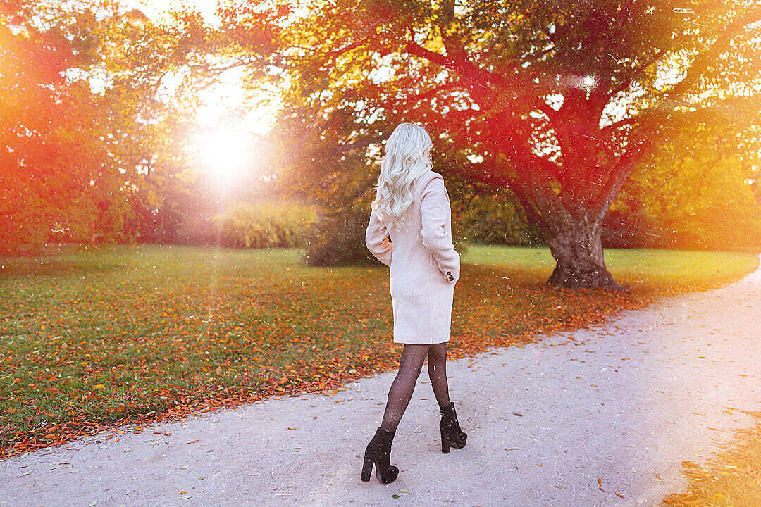 Download Blonde Woman in a Coat Walking in the Autumn Park FREE Stock Photo