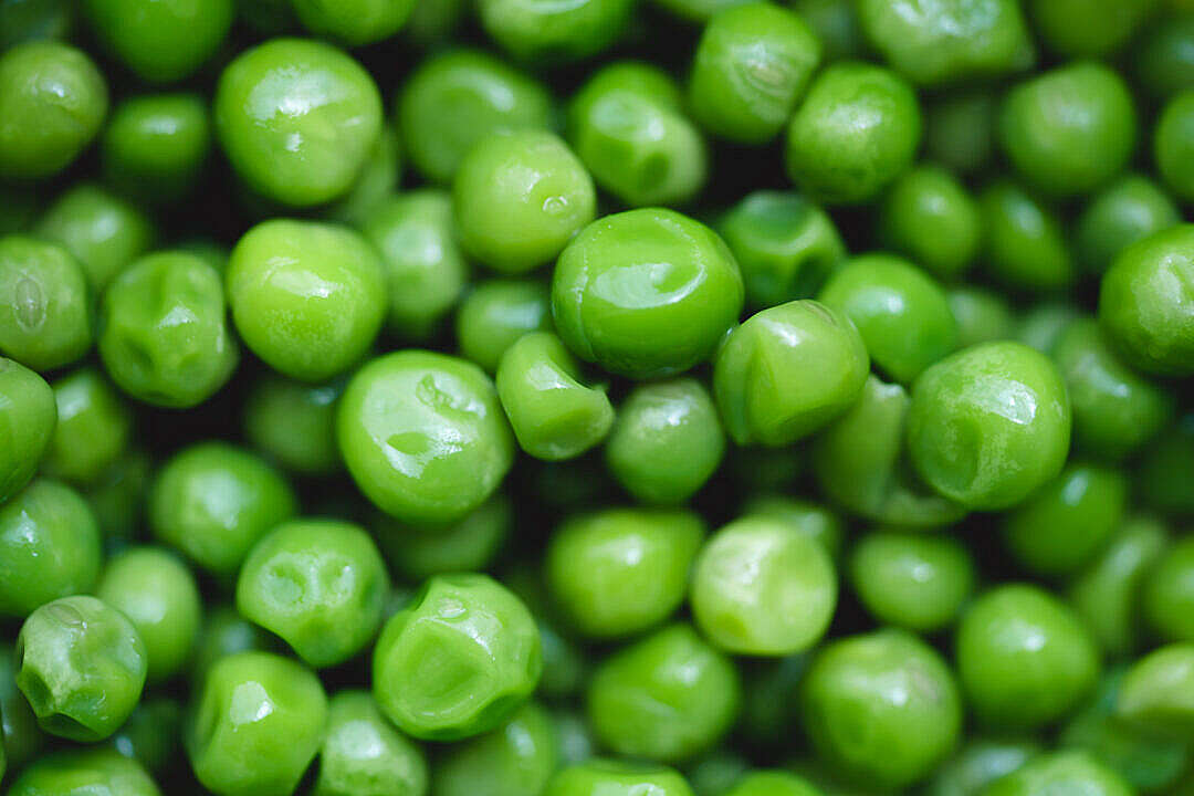 Download Boiled Peas Close Up FREE Stock Photo