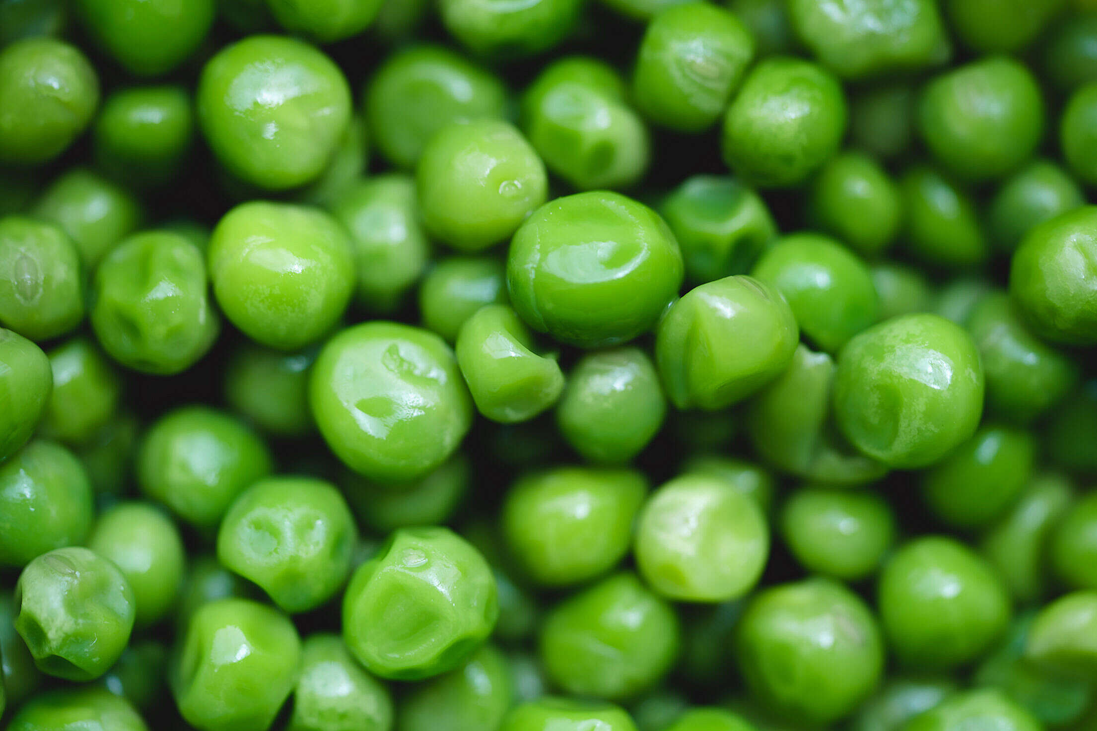 Boiled Peas Close Up Free Stock Photo