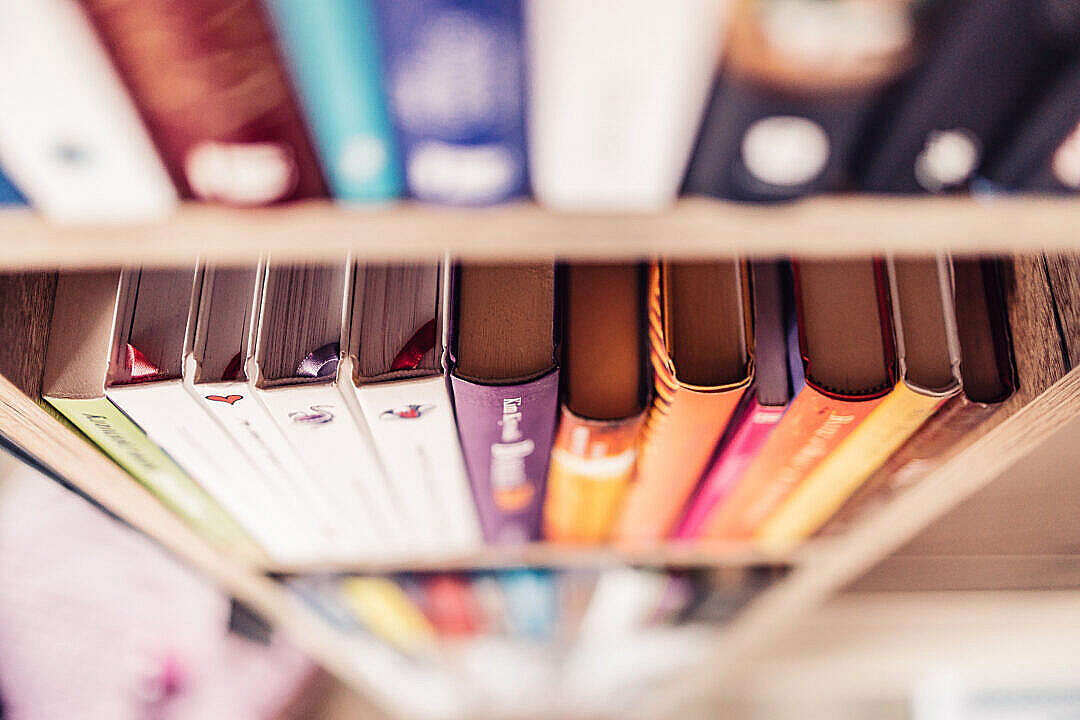 Download Books Shelf at Home FREE Stock Photo