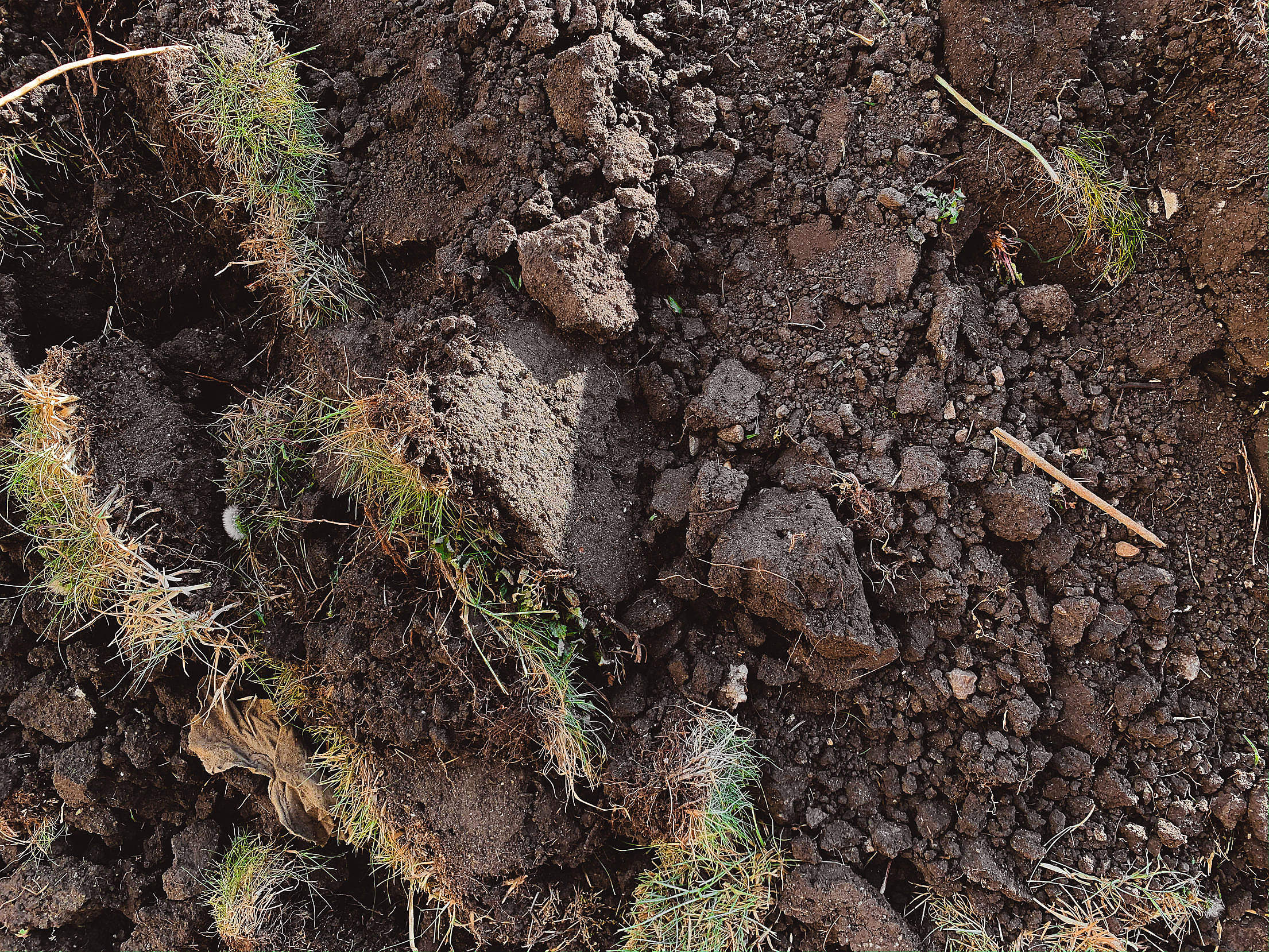 Brown Soil Plowed Field Close Up Free Stock Photo picjumbo