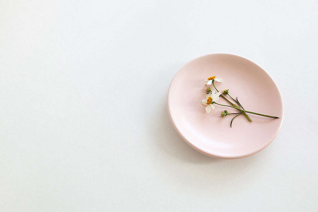 Chamomile Flowers on a Pink Plate