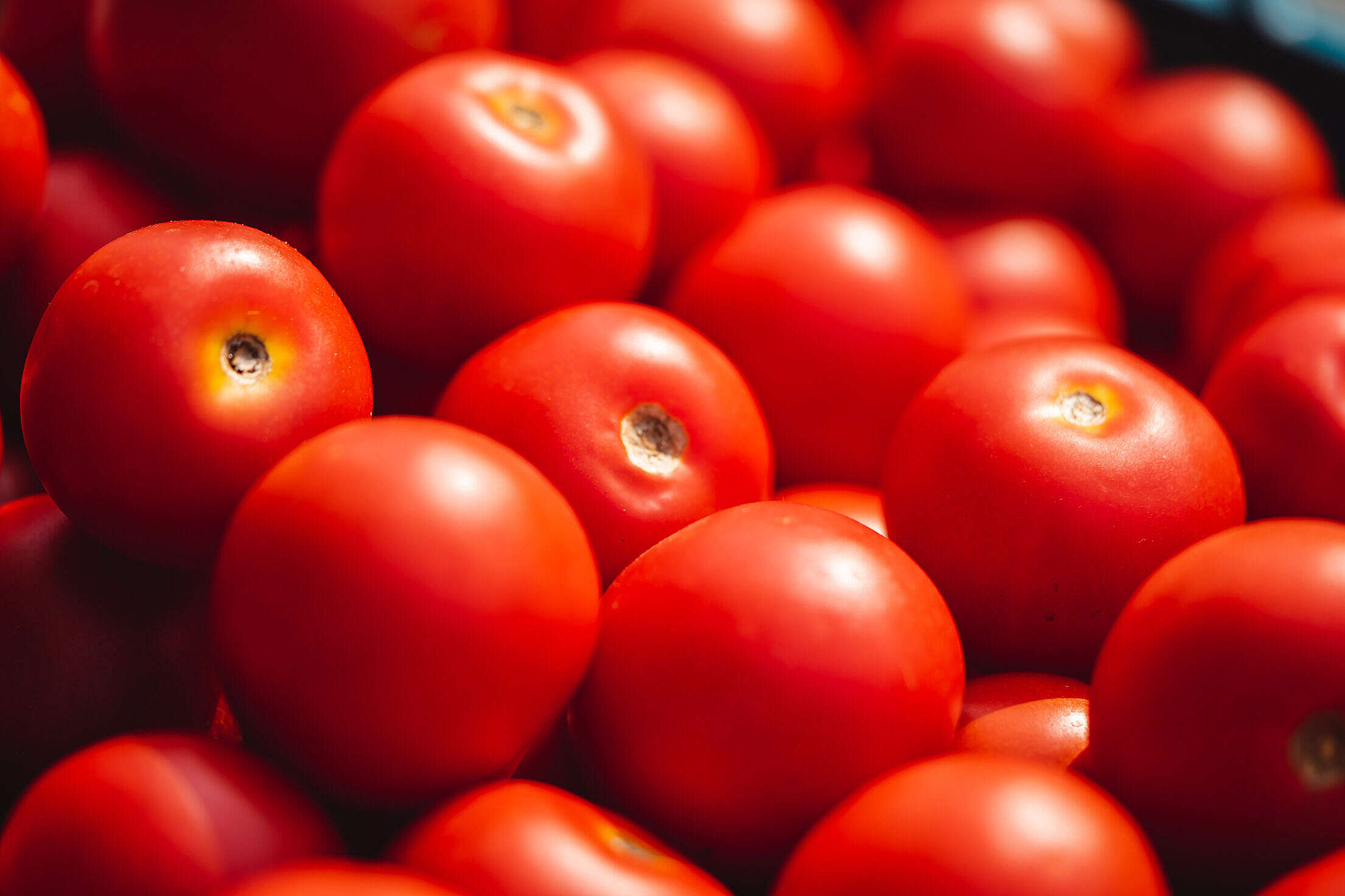 Cherry Tomatoes Free Stock Photo