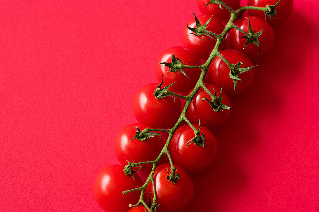 Download Cherry Tomatoes on Red Background with Room for Text FREE Stock Photo