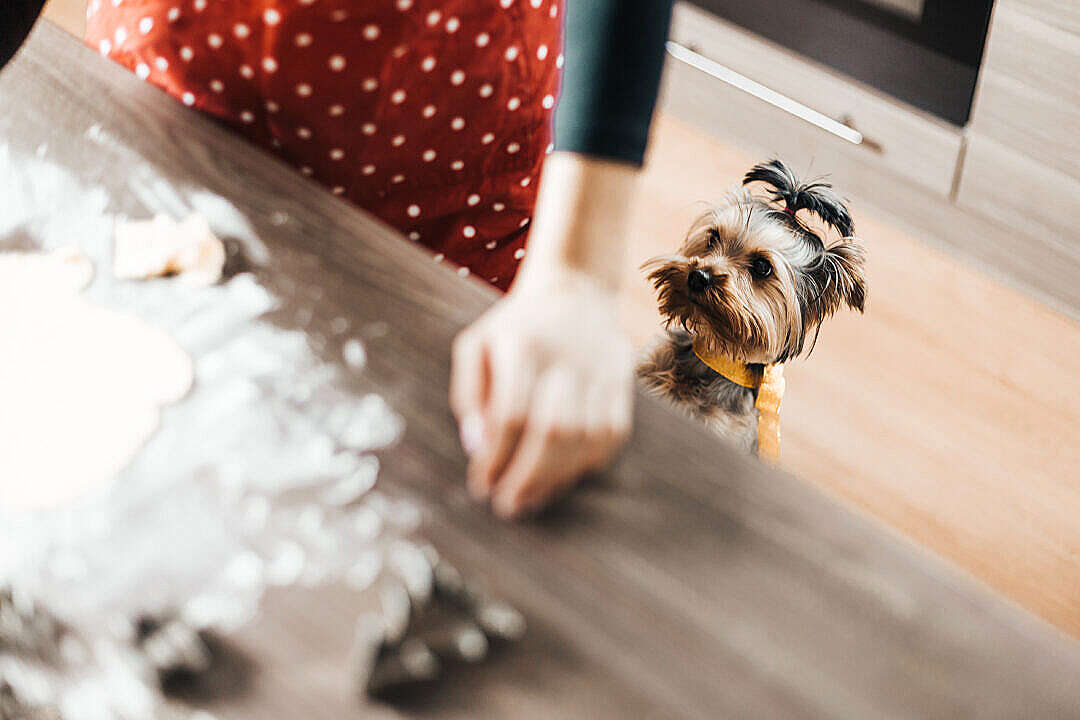 Download Christmas Baking: Our Little Helper FREE Stock Photo