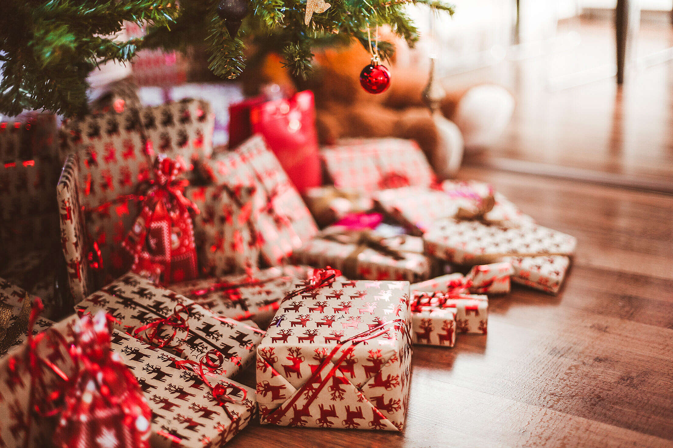Christmas Presents Under Tree Free Stock Photo Picjumbo