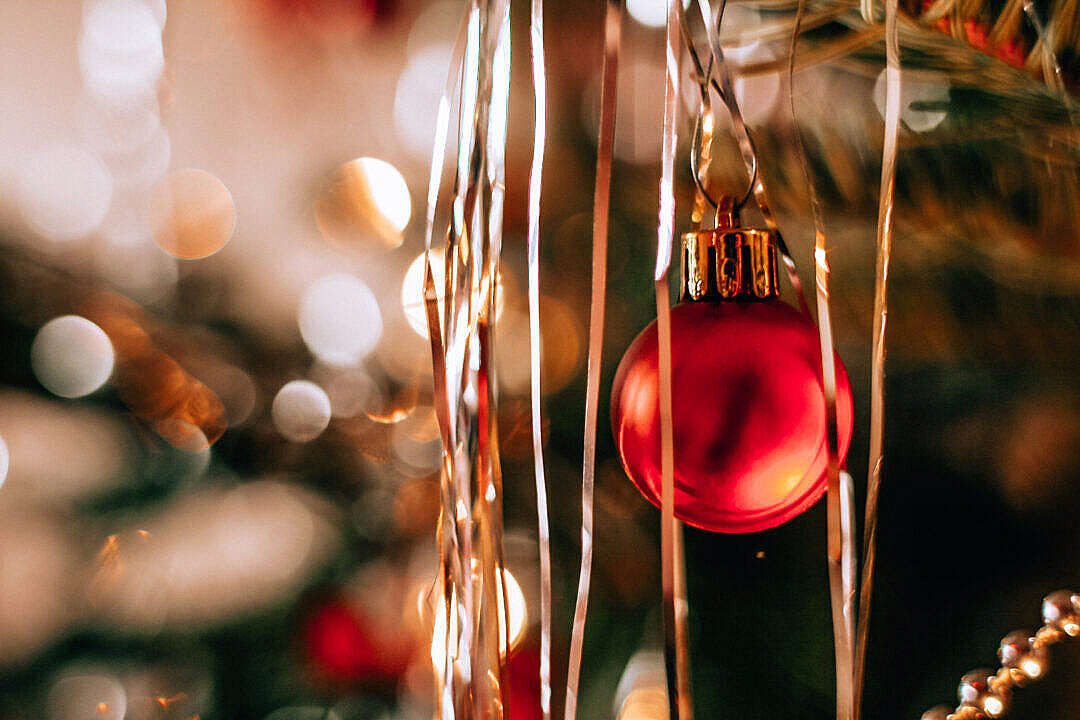 Download Christmas Tree Decorations FREE Stock Photo