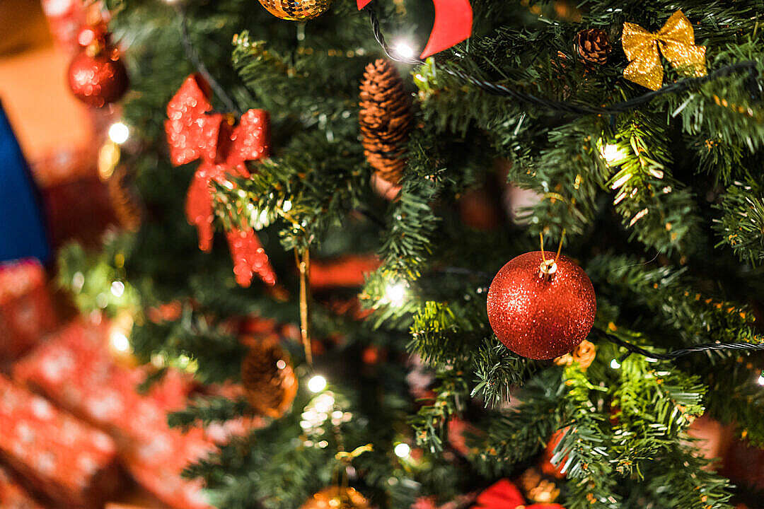 Christmas Tree with Decorations