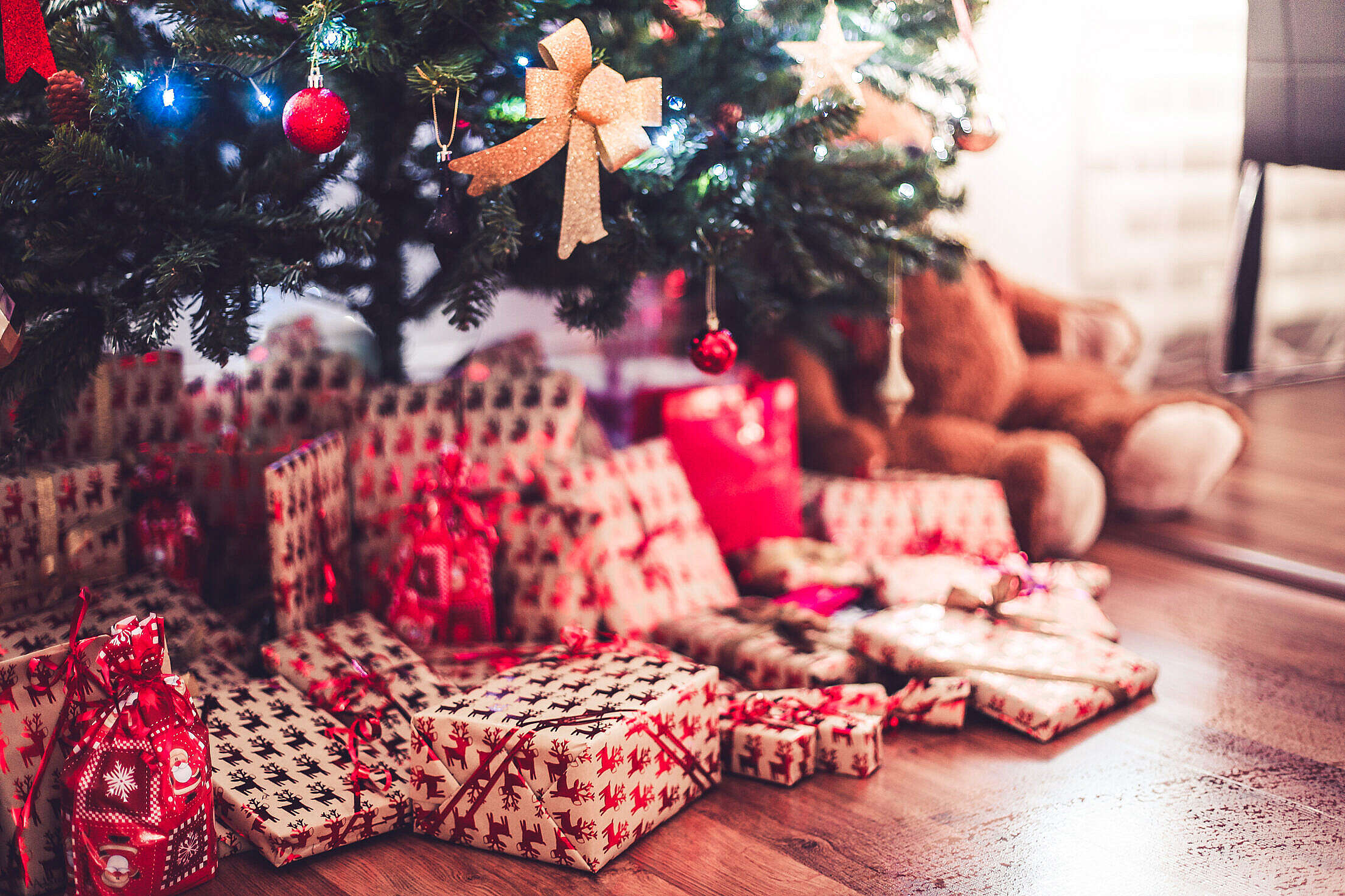 Christmas Tree with Presents on Christmas Eve Free Stock Photo
