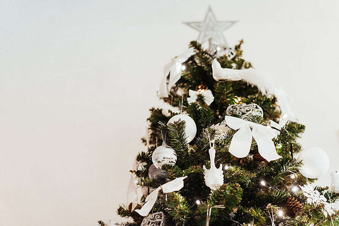 Download Christmas Tree with White Decorations FREE Stock Photo