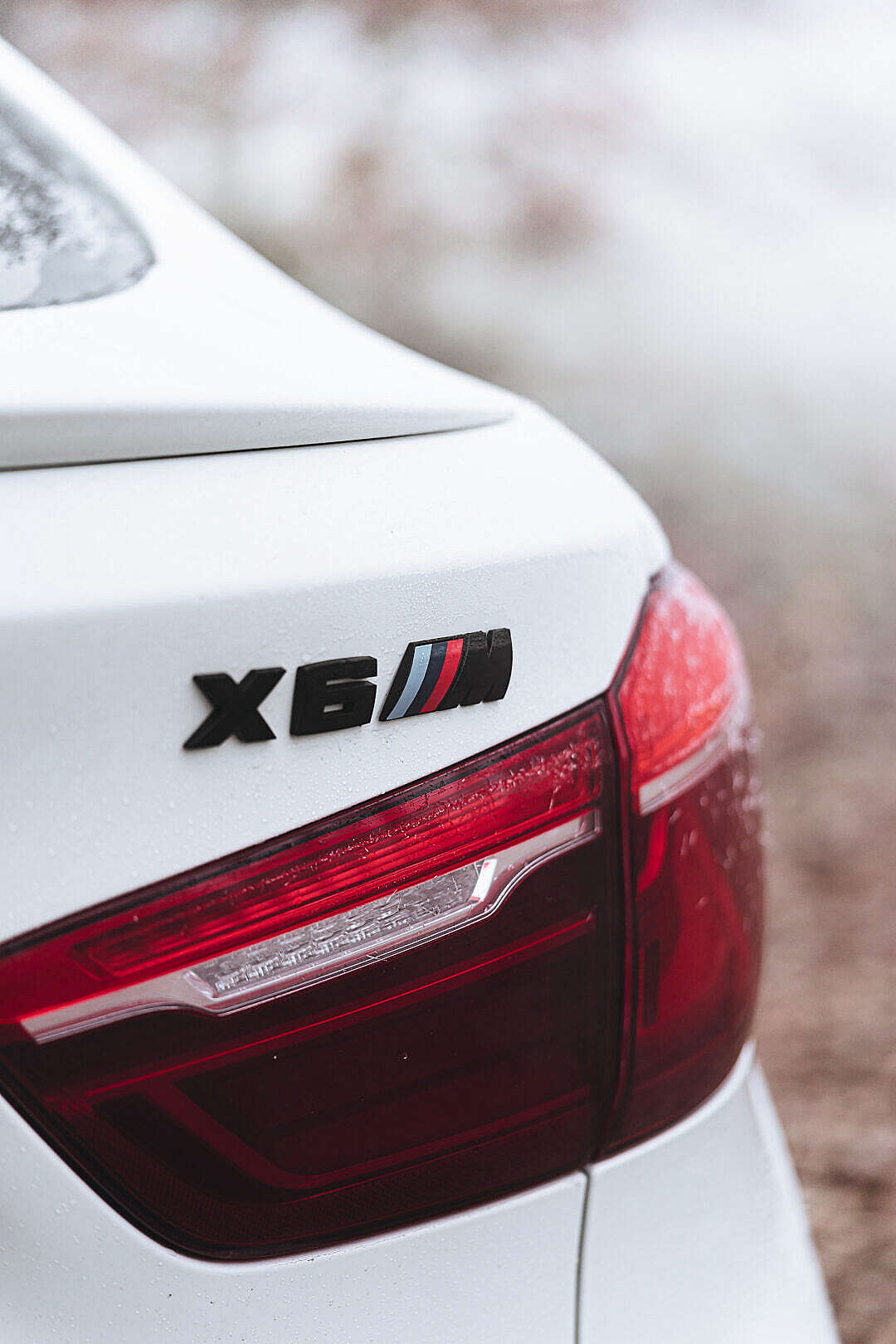 Download Close Up of the Rear BMW X6M Black Logo FREE Stock Photo