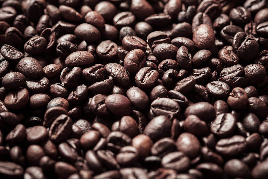 Download Coffee Beans Close Up FREE Stock Photo