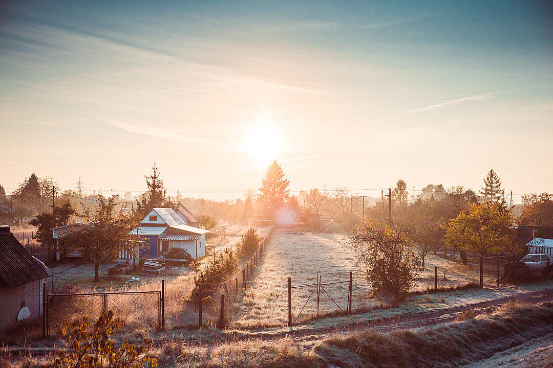 Download Cold Winter Morning over Gardening Colony FREE Stock Photo