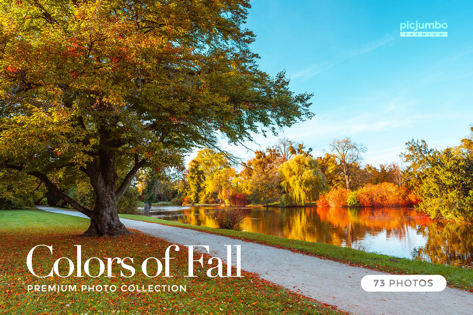 Colors of Fall Stock Photo Collection