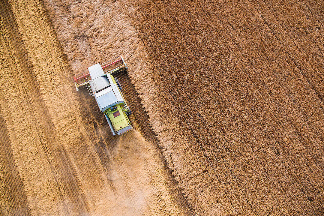 Combine Harvester at Work from Bird’s Eye View #2