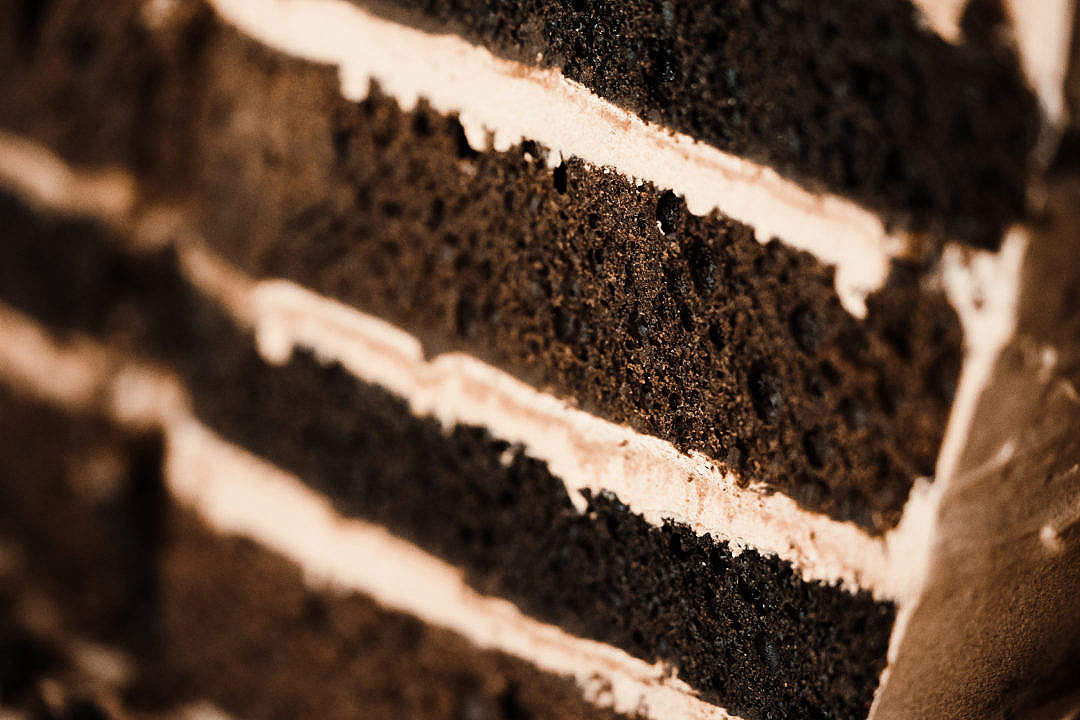 Creamy Chocolate Cake Close Up