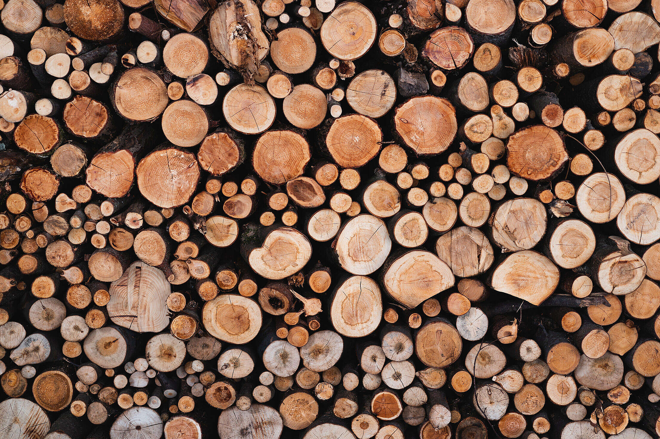Cut and Stacked Pile of Wood Free Stock Photo