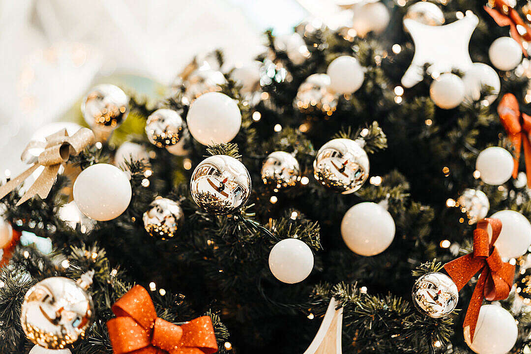 Download Decorated Christmas Tree Golden and White FREE Stock Photo