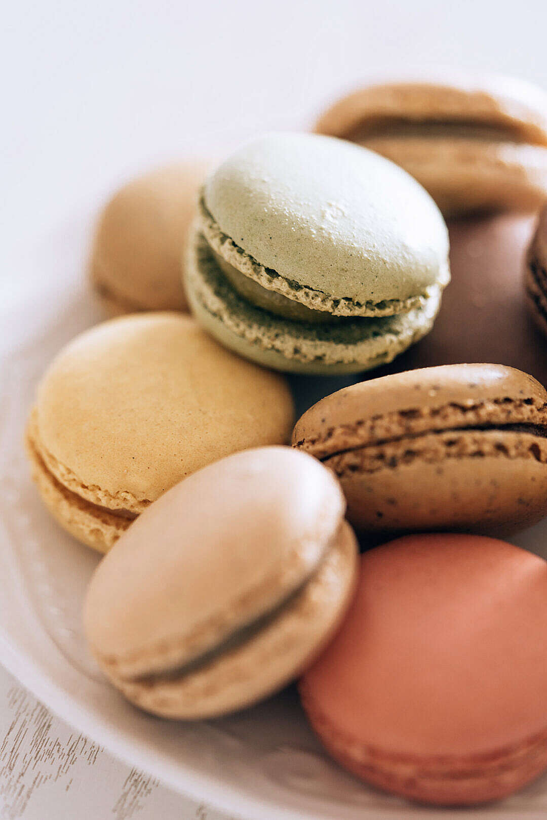 Download Delicious Homemade Macarons on a Plate FREE Stock Photo