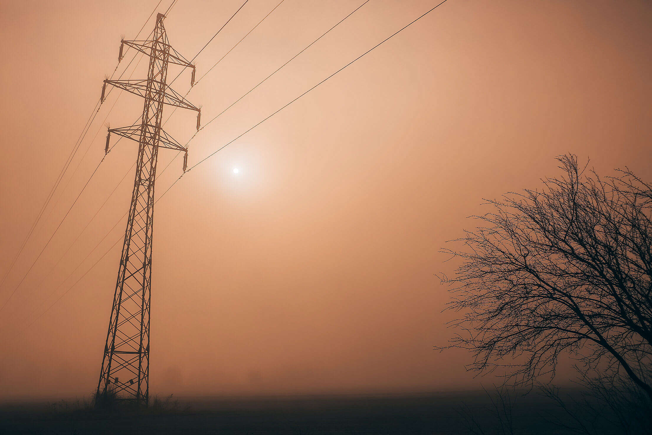 electricity-power-lines-against-sun-in-morning-fog-free-stock-photo