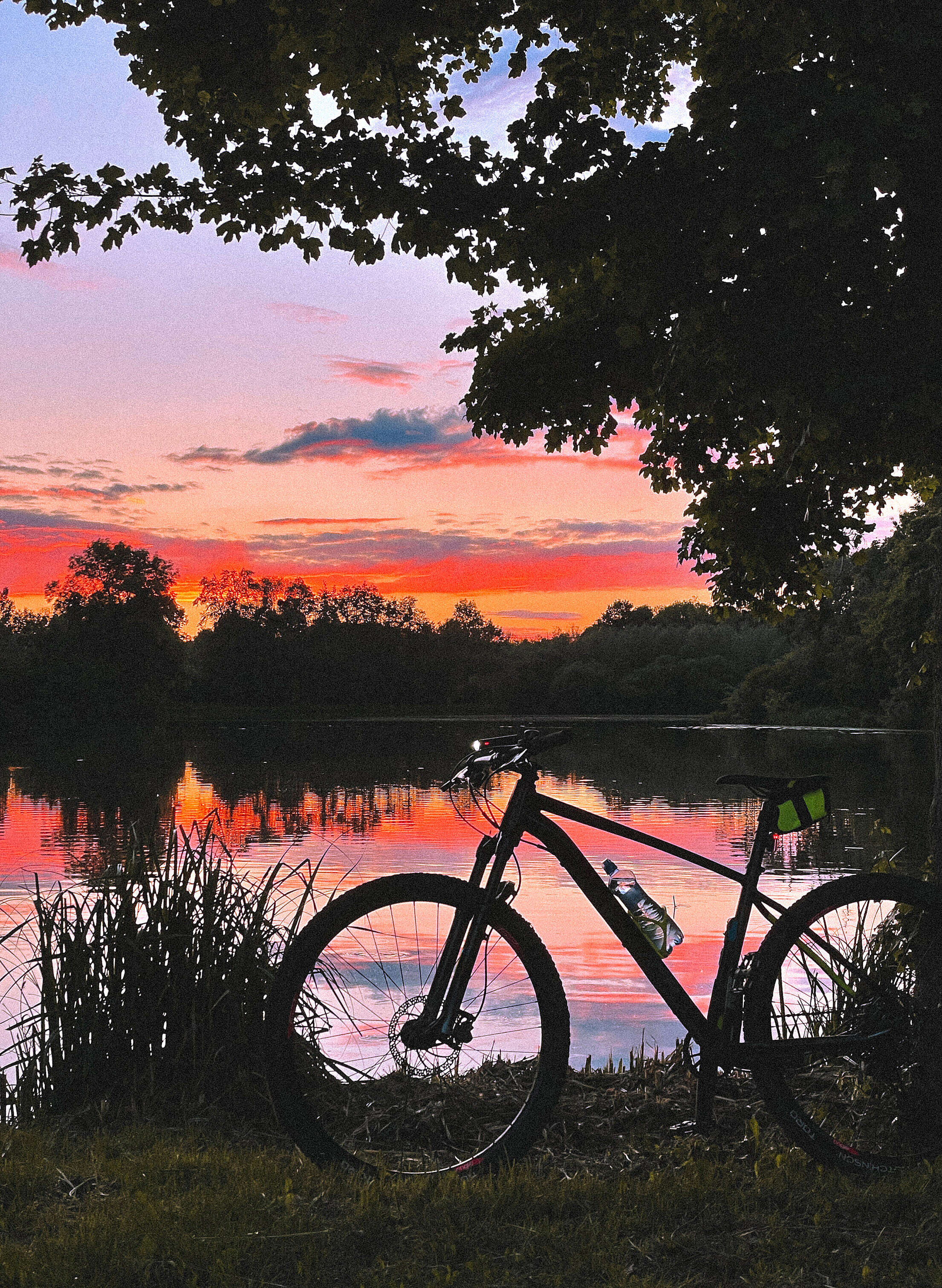 Evening MTB Ride Mountain Bike with Sunset Golden Sky Free Stock Photo ...