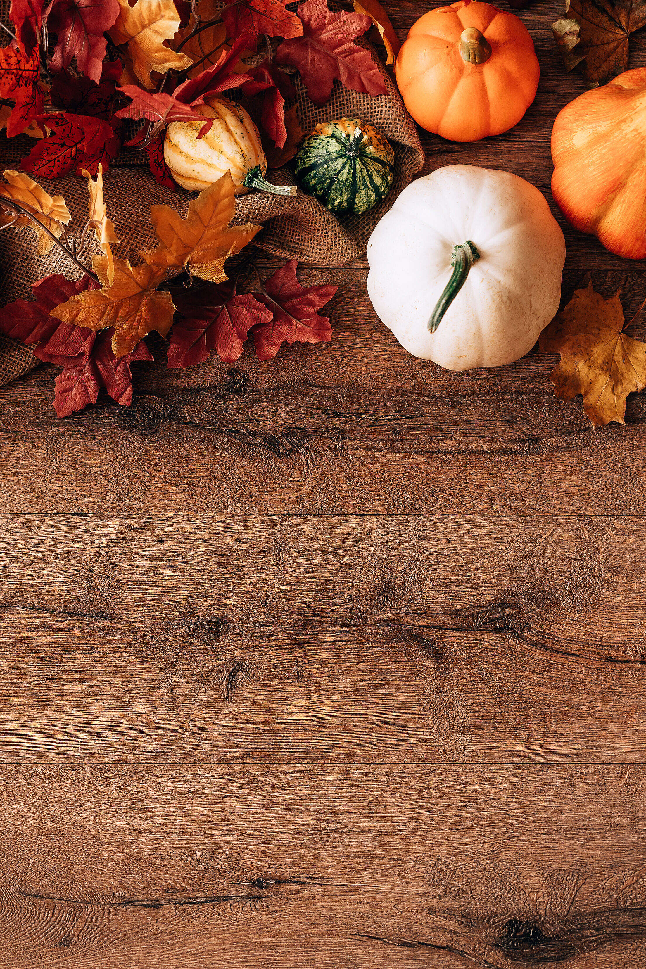Fall and Pumpkins October Still Life with Space for Text Free Stock Photo
