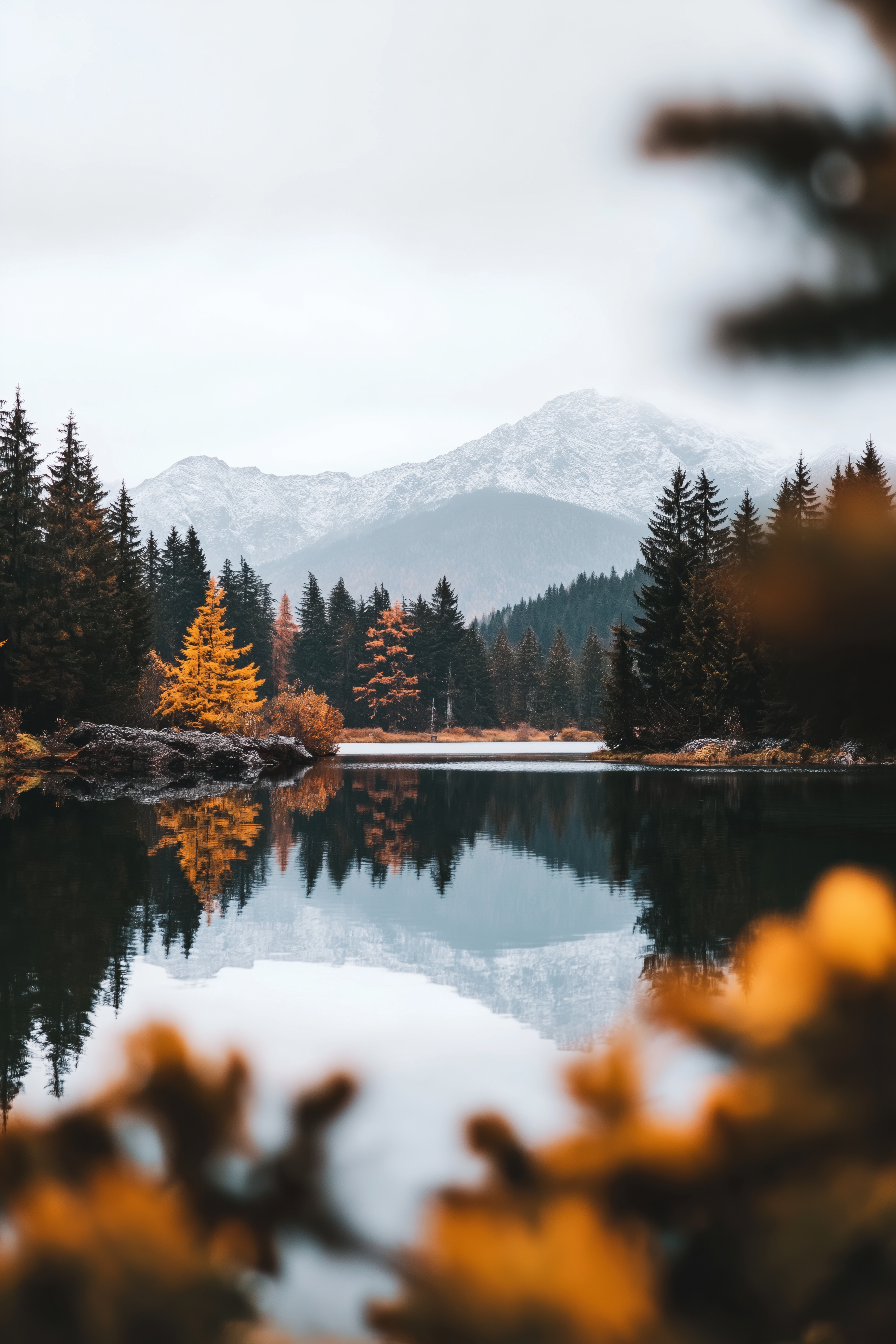 50+ Fall Nature Images | Free Images, Backgrounds and Wallpapers, image size:3584x5376