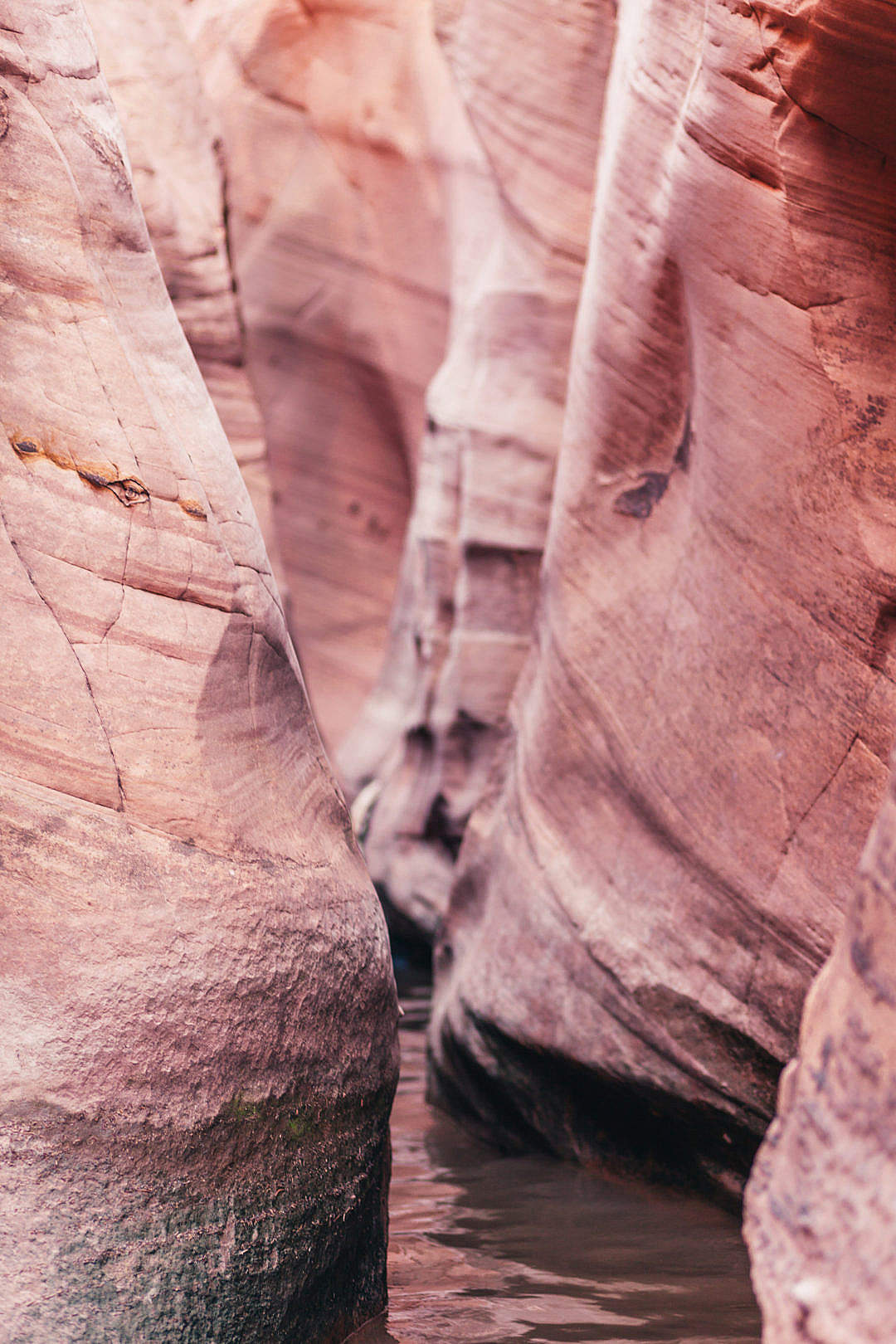 Download Flooded Slot Canyon in Utah FREE Stock Photo