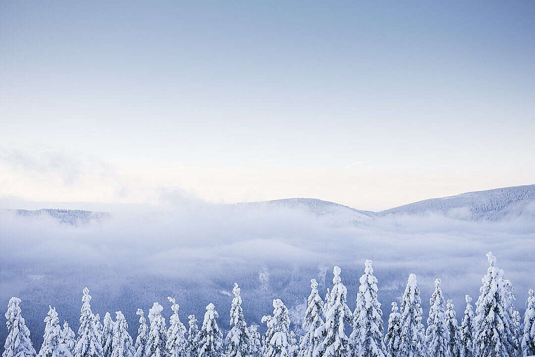Download Fog over a Snowy Forest in the Mountains FREE Stock Photo