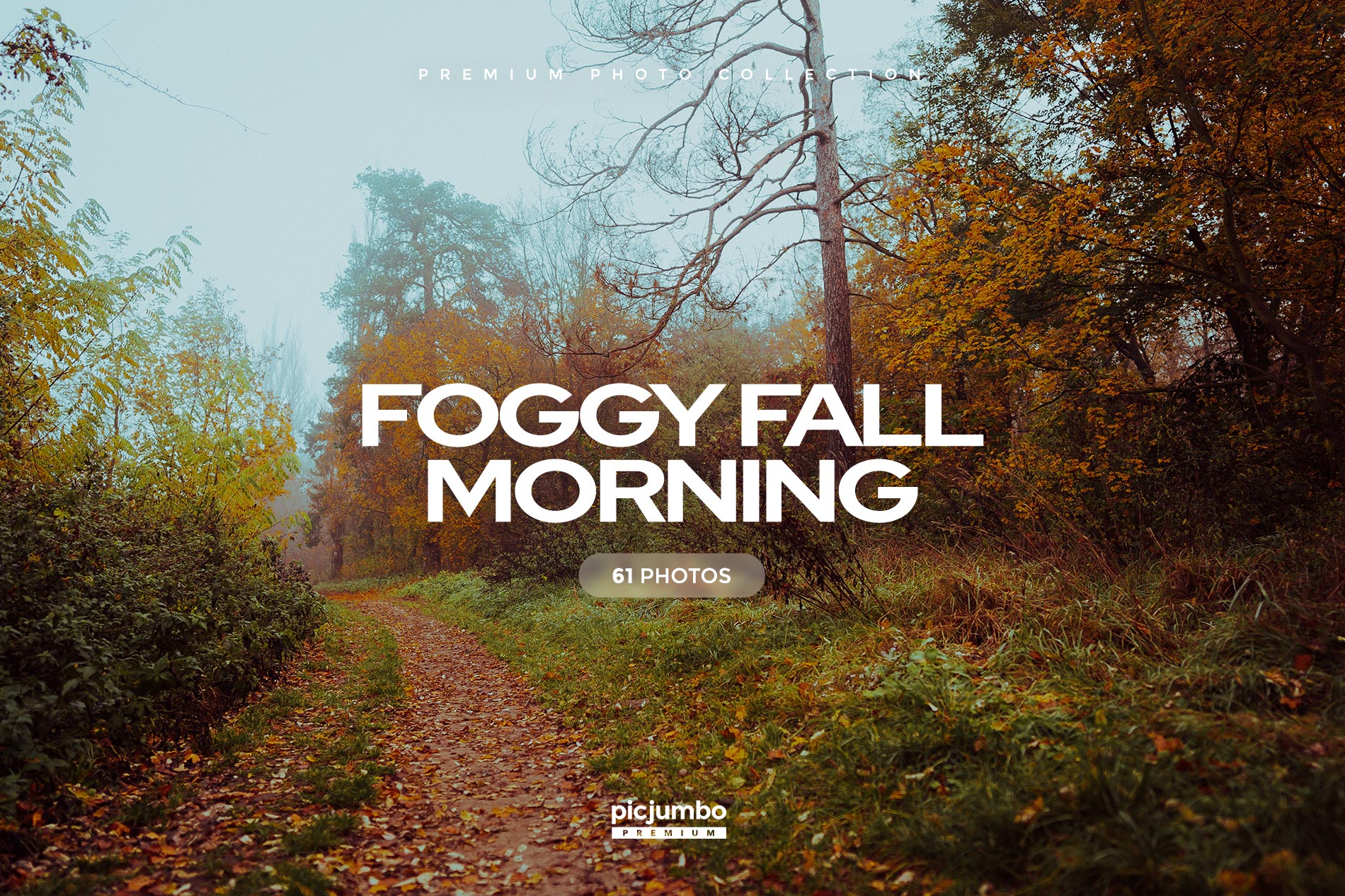Download hi-res stock photos from our Foggy Fall Morning PREMIUM Collection!