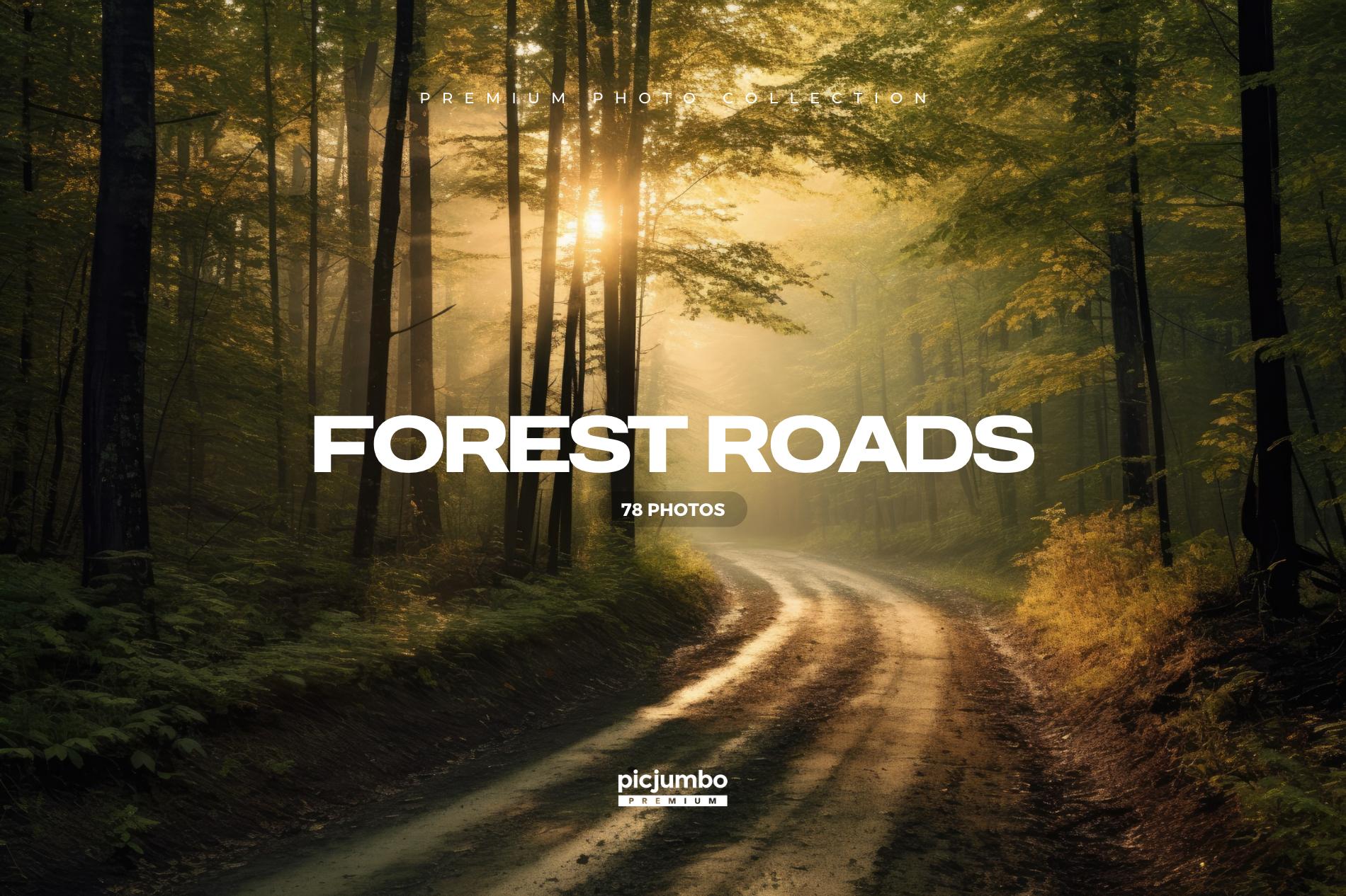 Forest Roads Stock Photo Collection
