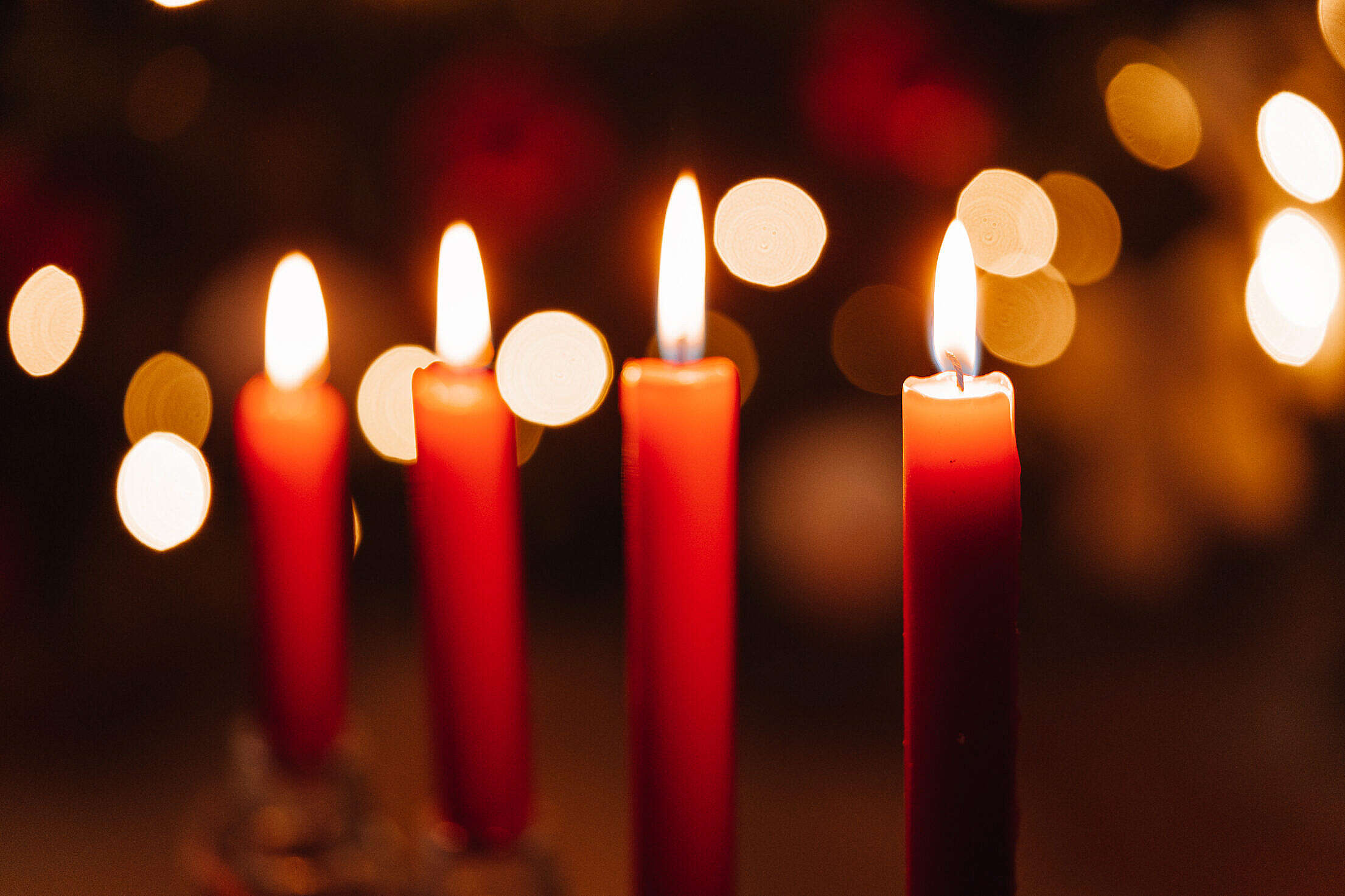 Four Red Christmas Candles Free Stock Photo