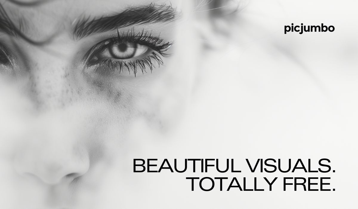 100% Free Stock Photos