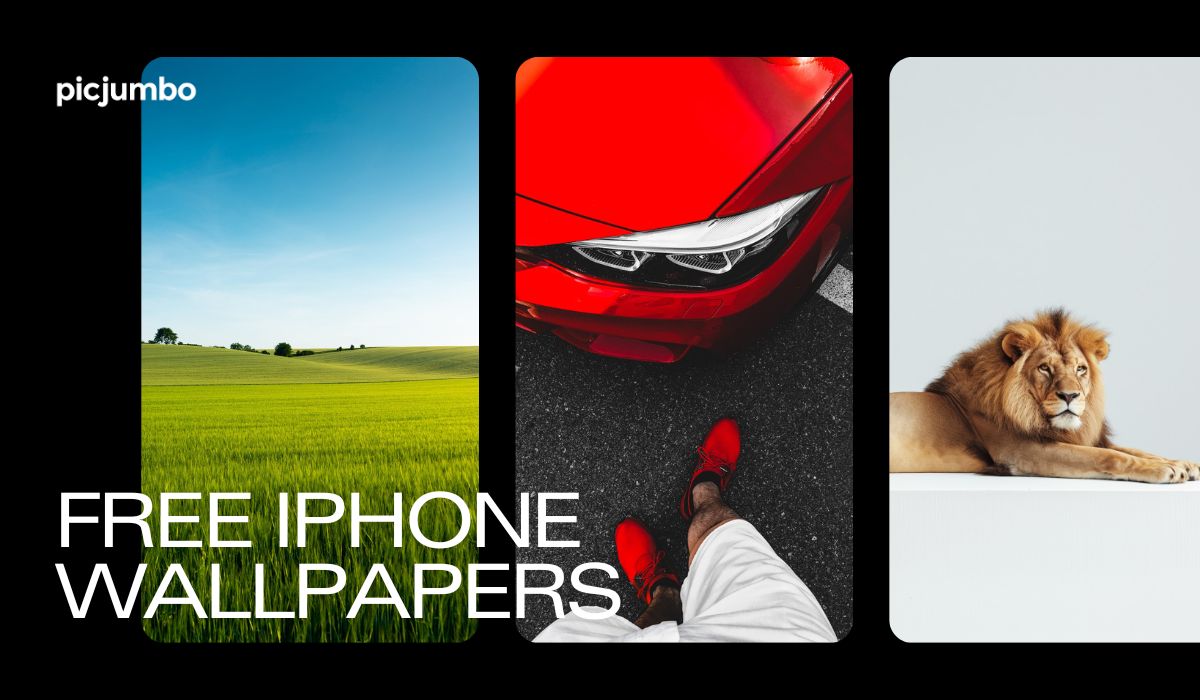 Detailed How To Get Free Iphone View Illustration Detailed How To Get Free Iphone View Illustration