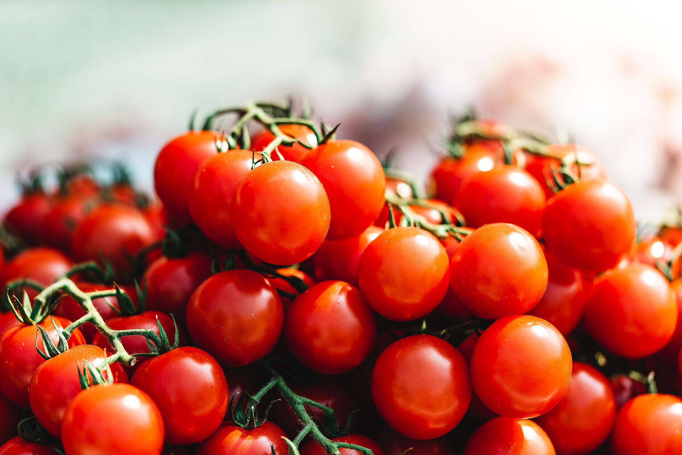 Fresh Cherry Tomatoes Free Stock Photo