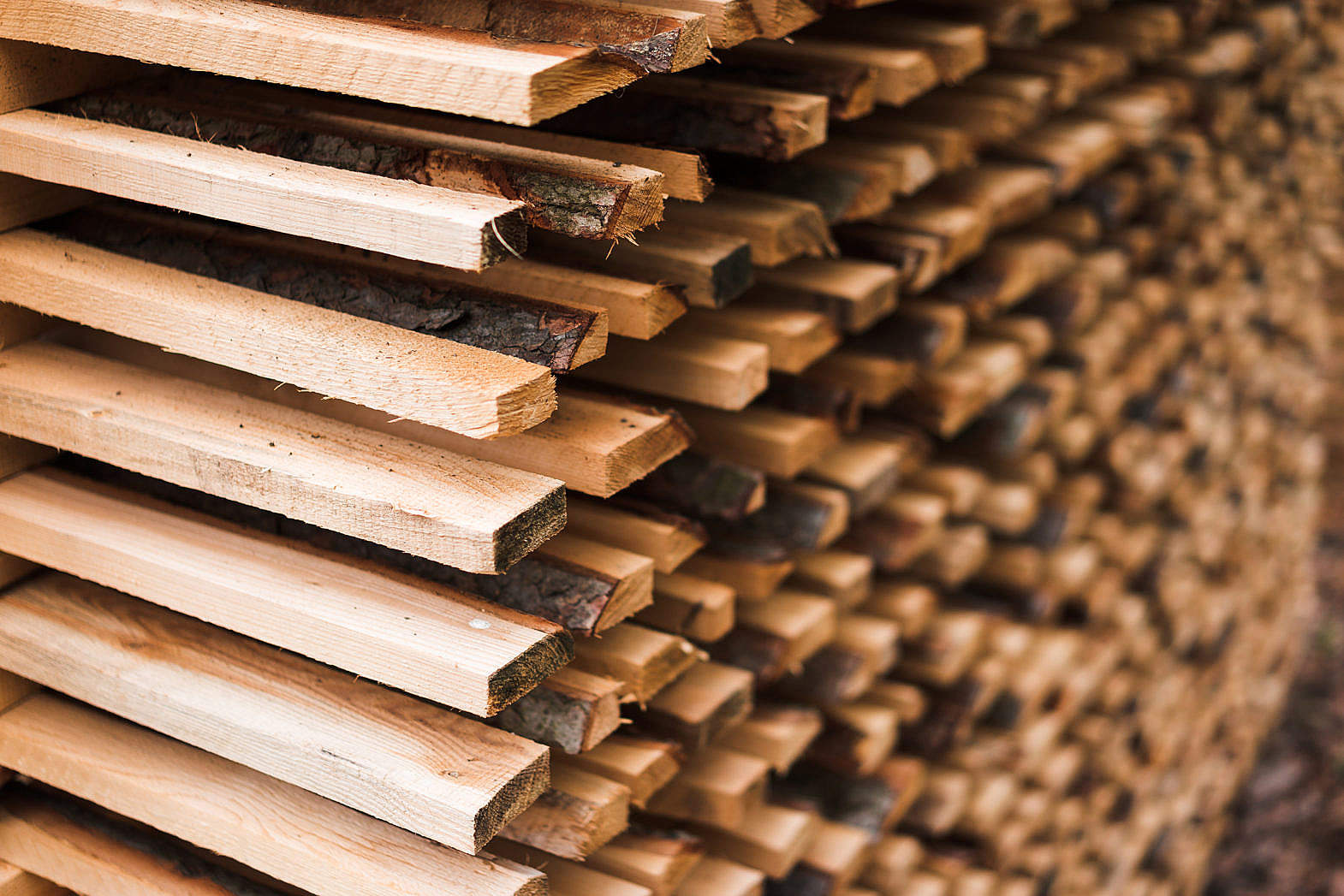 lumber wood