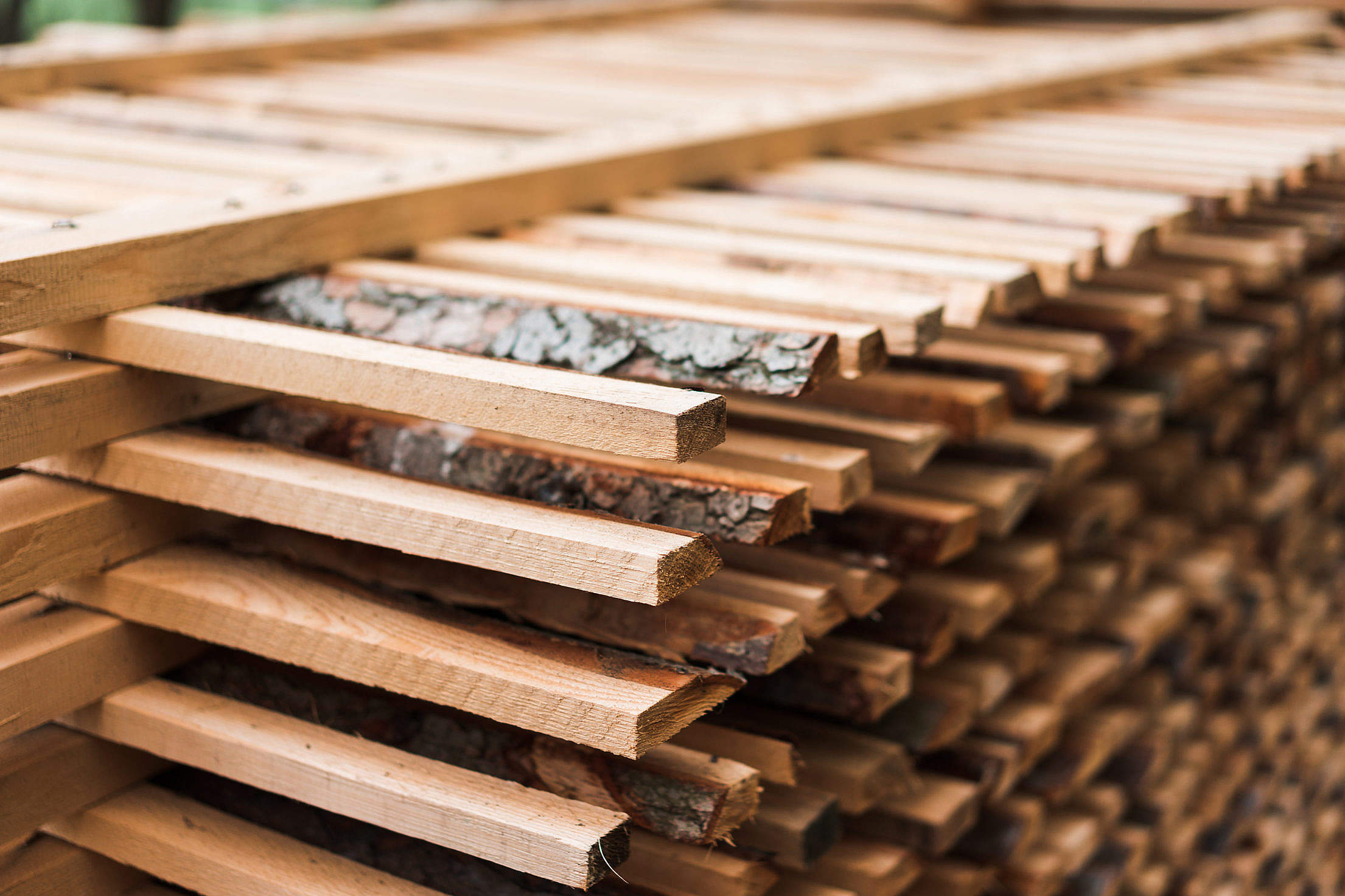 Freshly Cut Wood Stacked for Lumber Air Drying Close Up Free Stock